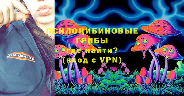 дживик Богородск