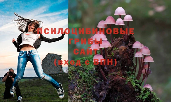 дживик Богородск