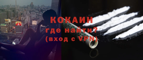дживик Богородск