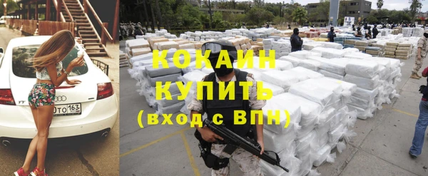 дживик Богородск