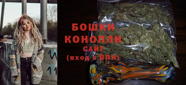 дживик Богородск