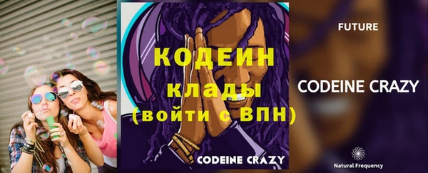 мдпв Богданович