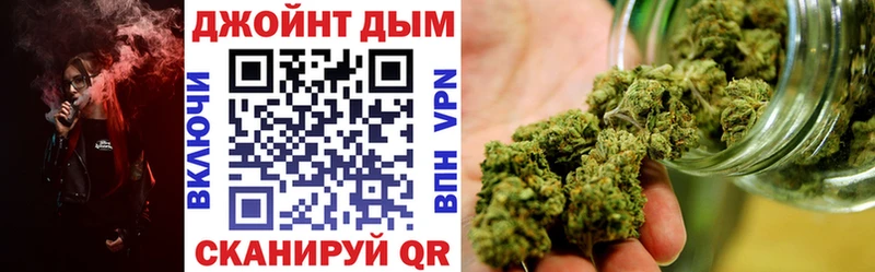 Бошки Шишки SATIVA & INDICA  где купить наркотик  Киреевск 